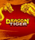 Dragon Tiger: The Adult Entertainment Phenomenon You Can’t Ignore